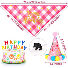 Load image into Gallery viewer, Dog Birthday Bandana and Party Hat Set - The Dog Mix
