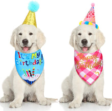 Load image into Gallery viewer, Dog Birthday Bandana and Party Hat Set - The Dog Mix

