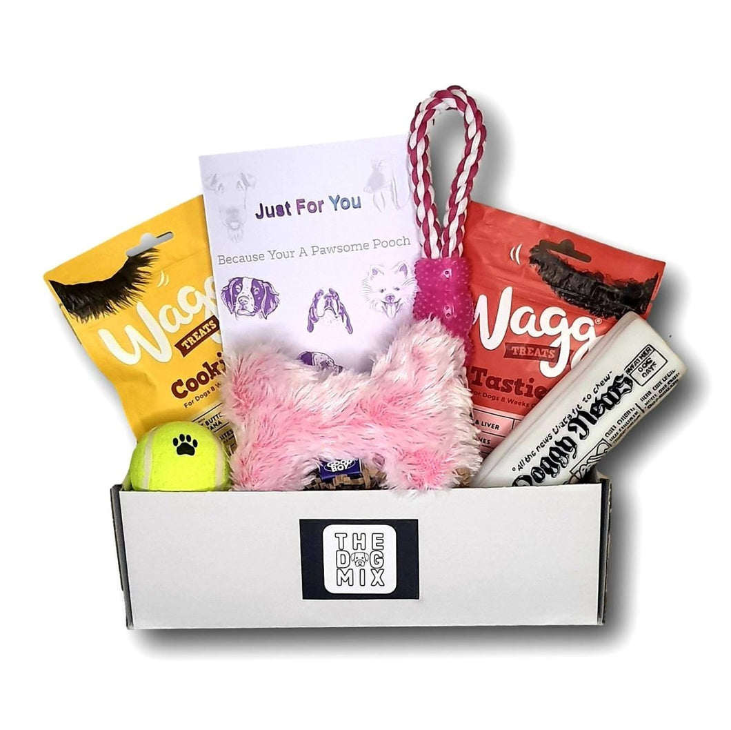 Dog Get Well Soon Box - The Dog Mix